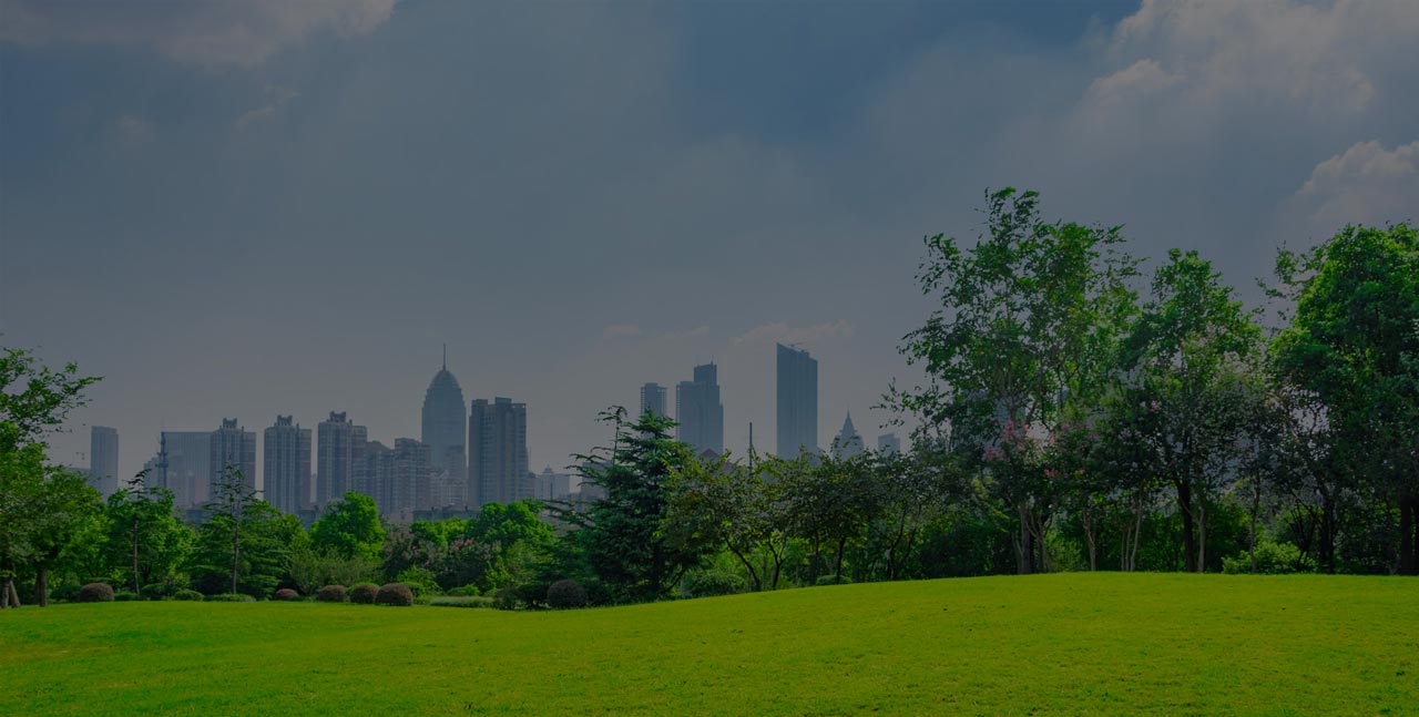 Smafely will be presented at the Smart Working Day 2019 Smafely will be presented at the Smart Working Day 2019